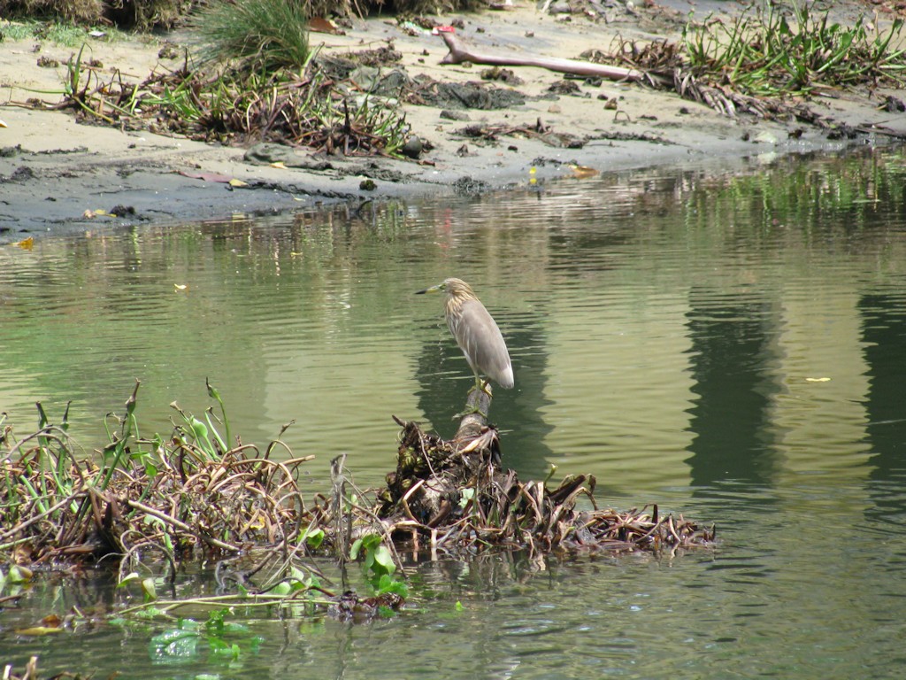 IMG_3618