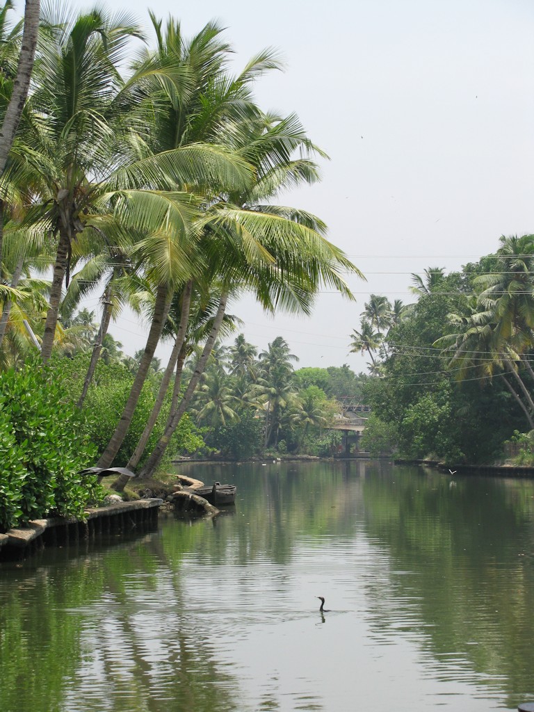 IMG_3623