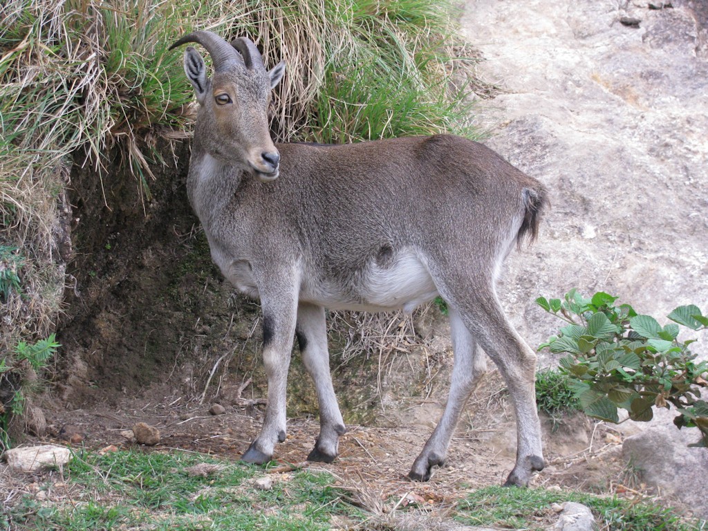 IMG_4003