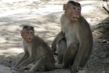 Wyspa Elephanta