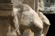 Ellora
