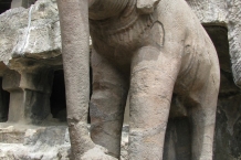Ellora