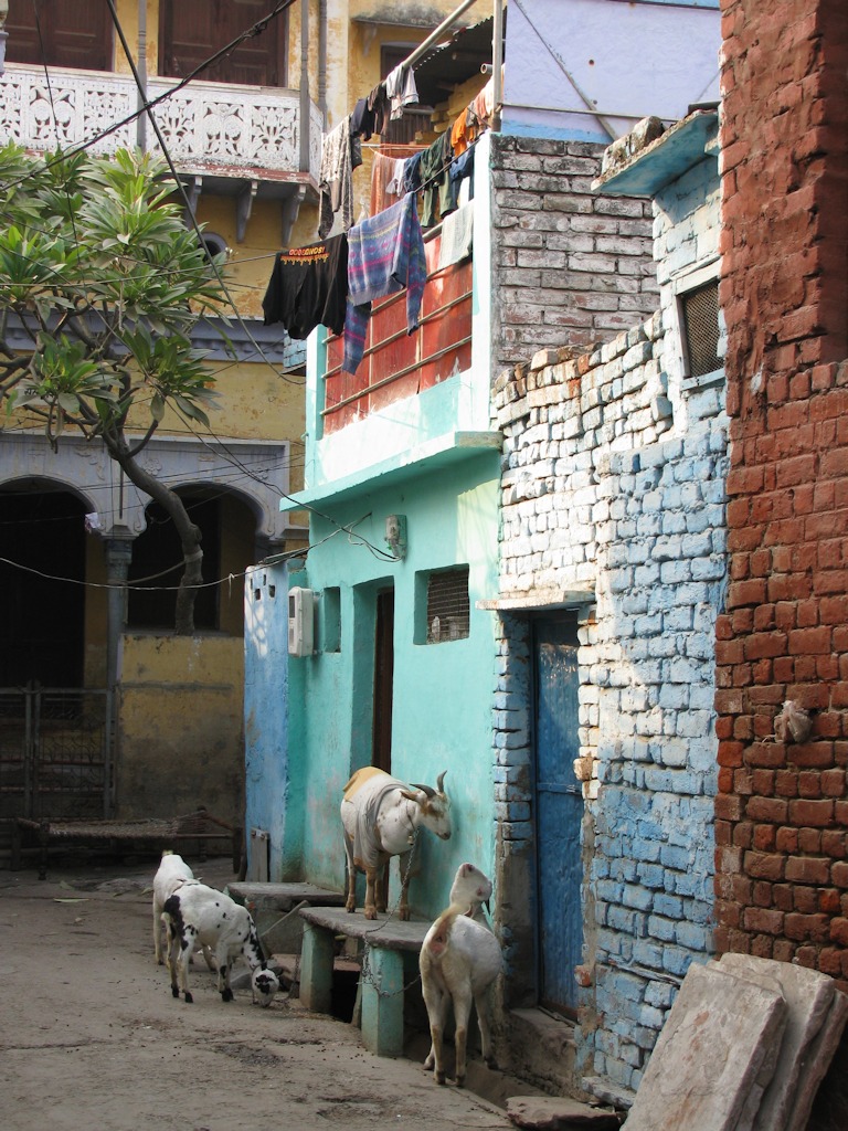 Agra
