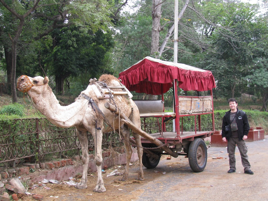 Agra