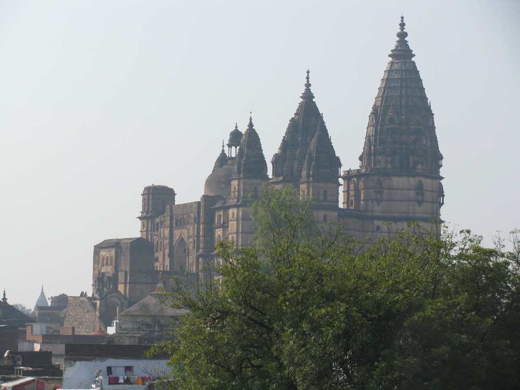 IMG_6505