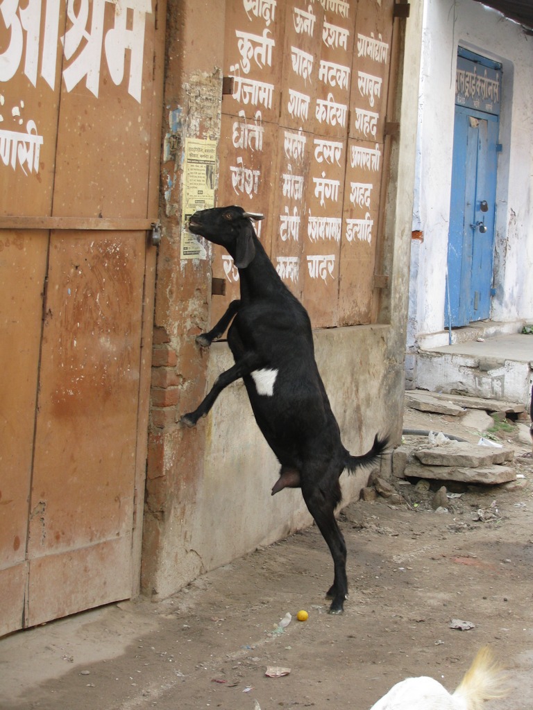 Varanasi