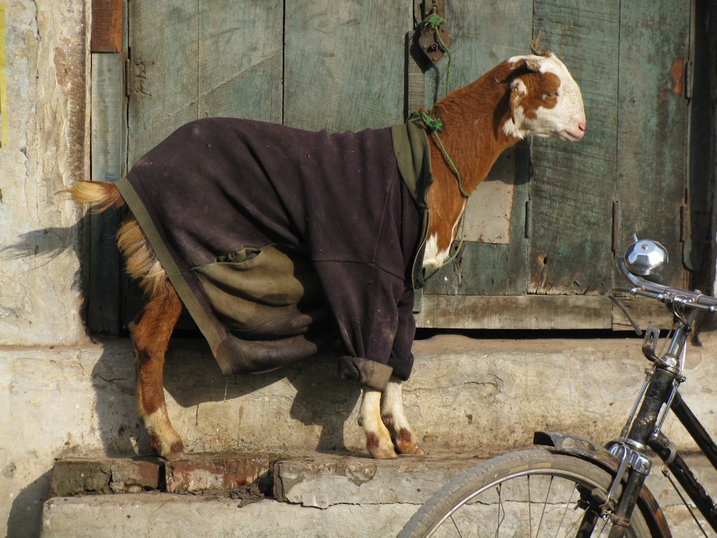 Varanasi