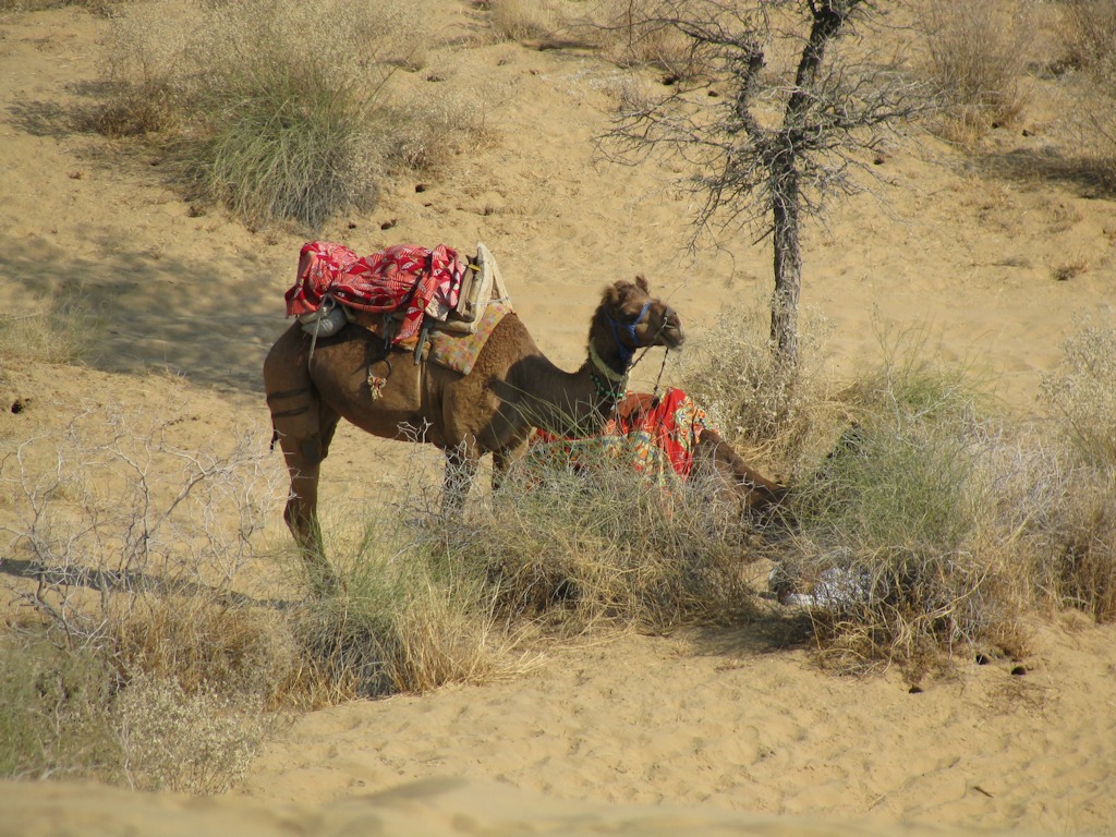 IMG_7945