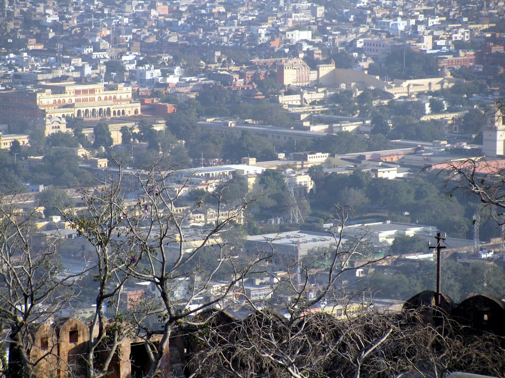IMG_8222
