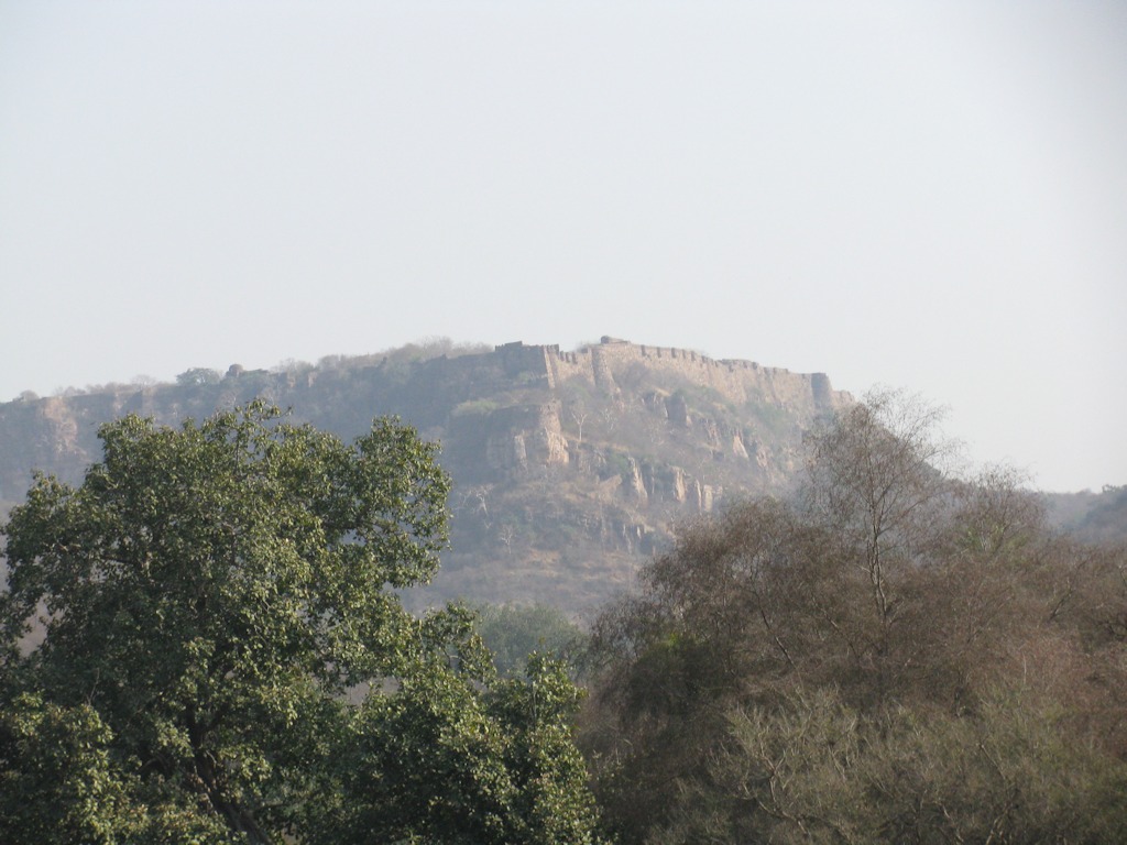 IMG_8454