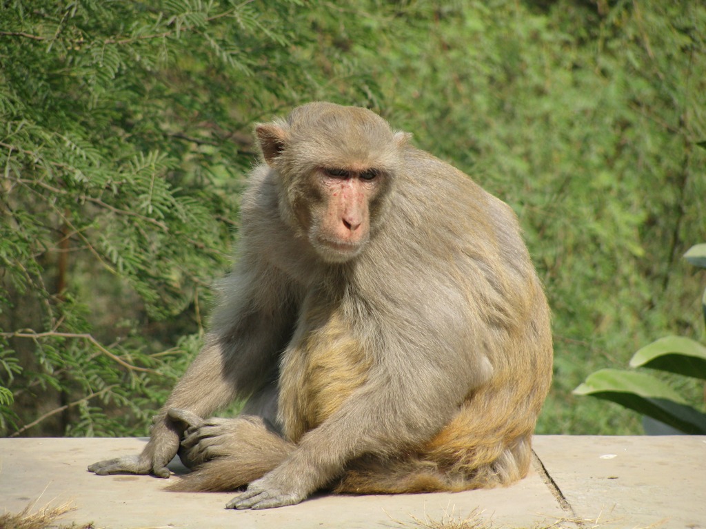 IMG_8551