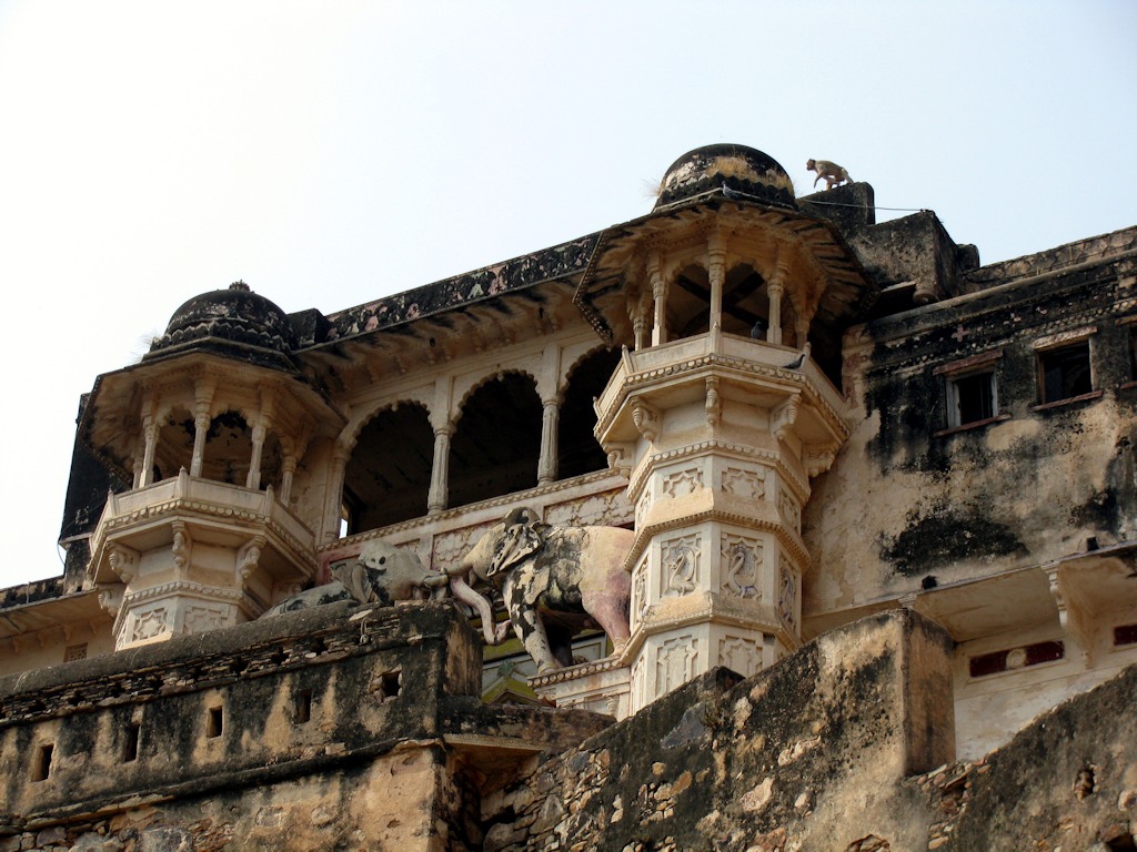 IMG_8660