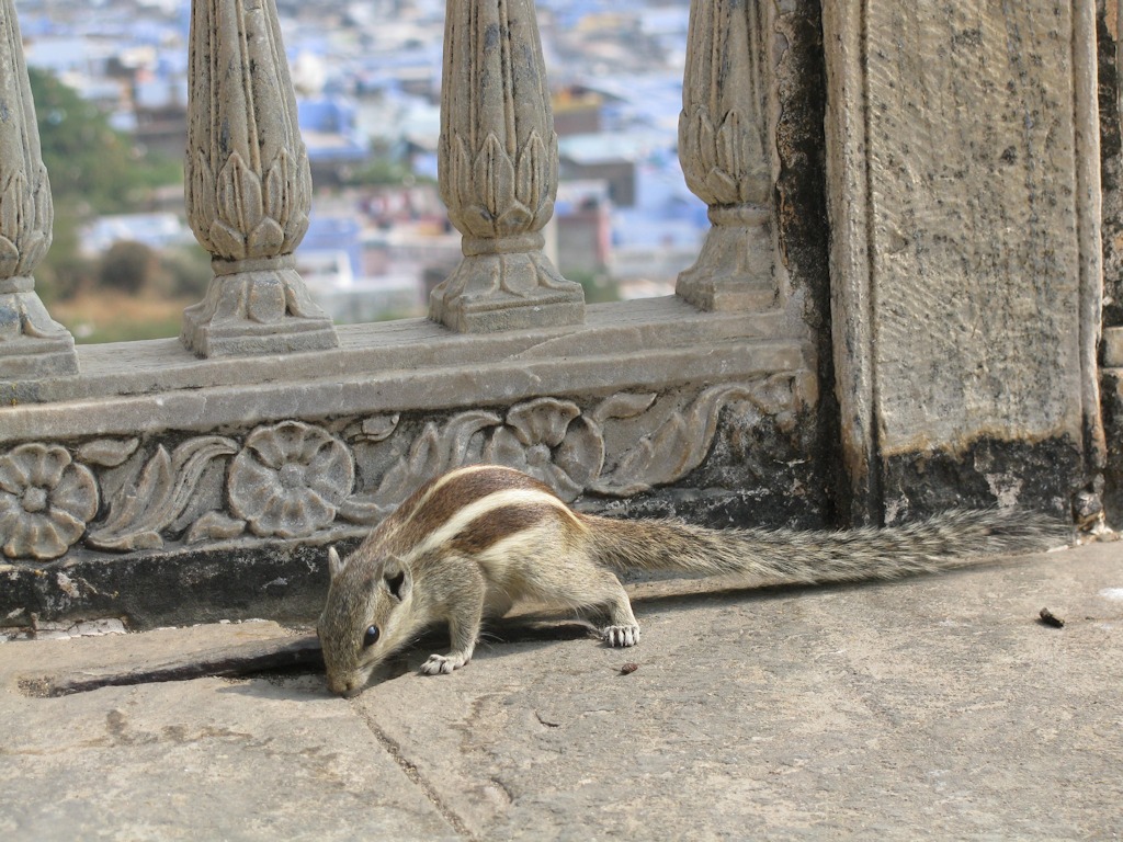 IMG_8710