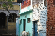 Agra