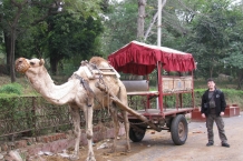 Agra