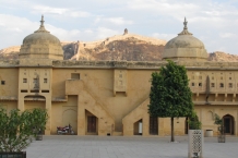 IMG_8352