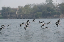 IMG_8590