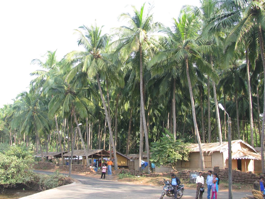Old Goa