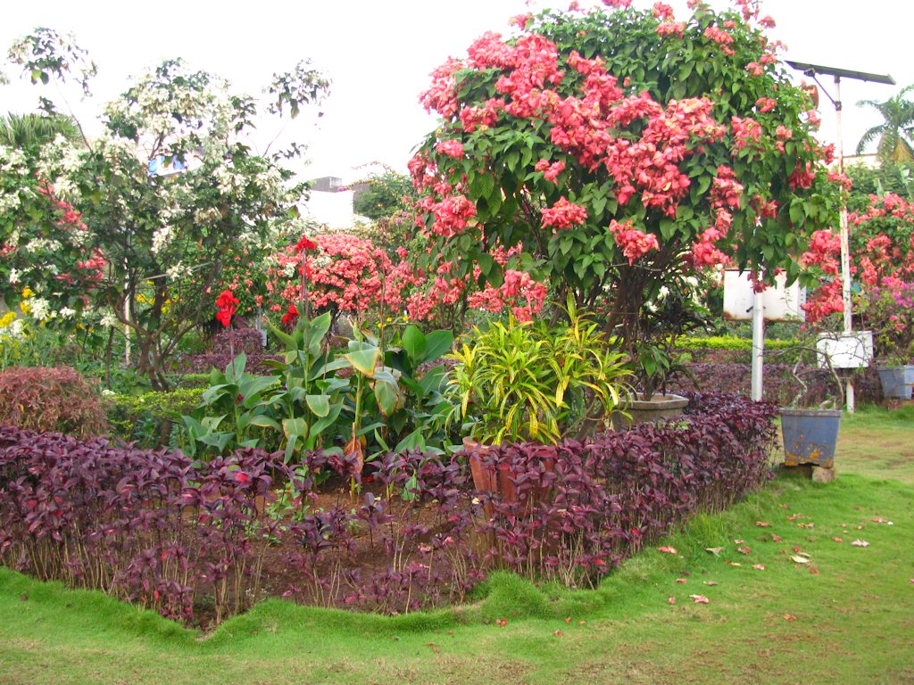 Margao