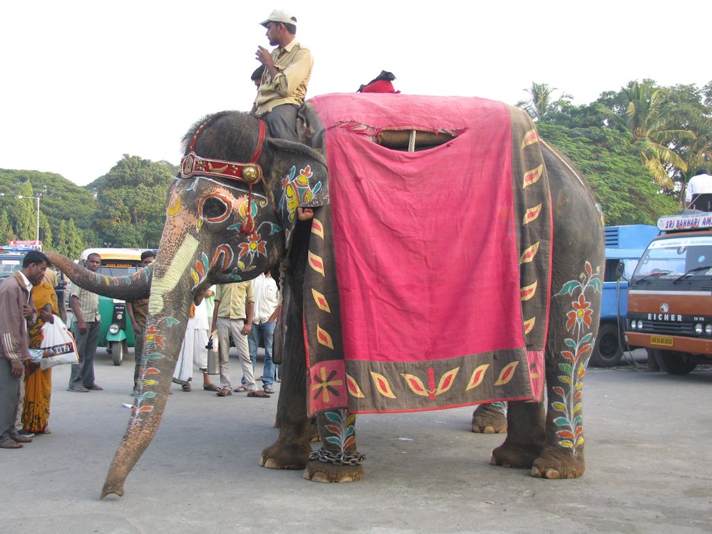 Majsur
