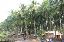 Old Goa