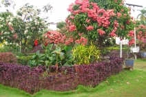 Margao