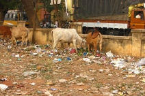 Hubli