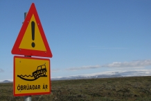 IMG_1141