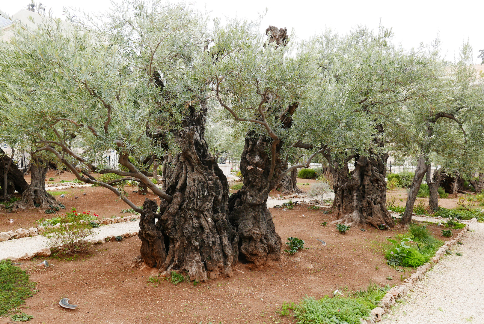 Jerozolima