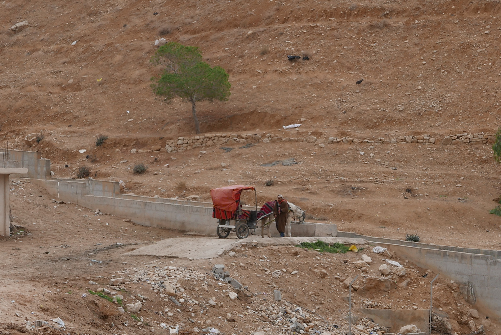 Jordania