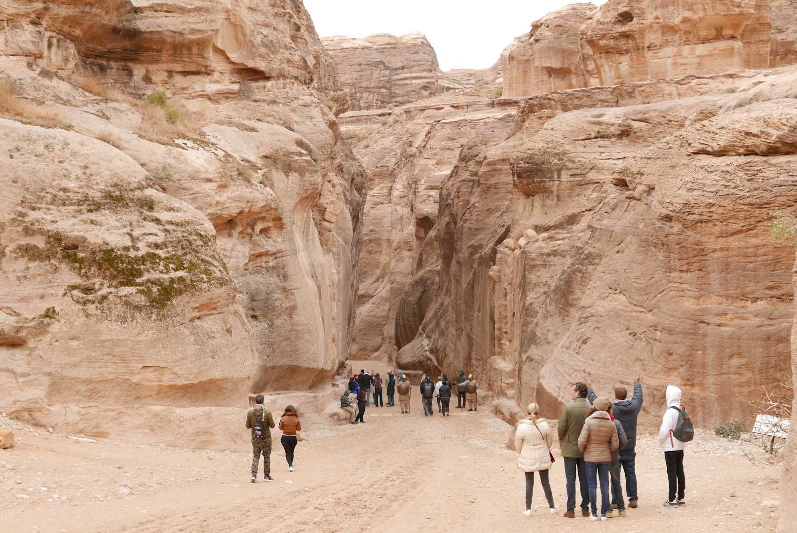 Jordania