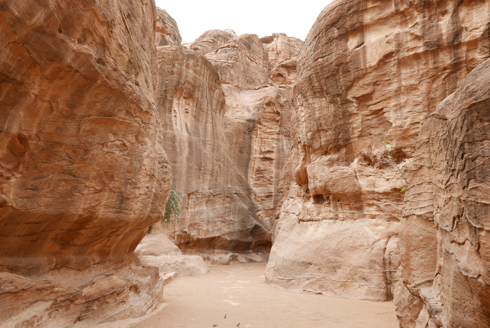 Jordania
