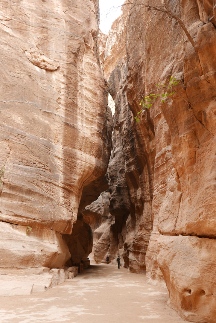 Jordania
