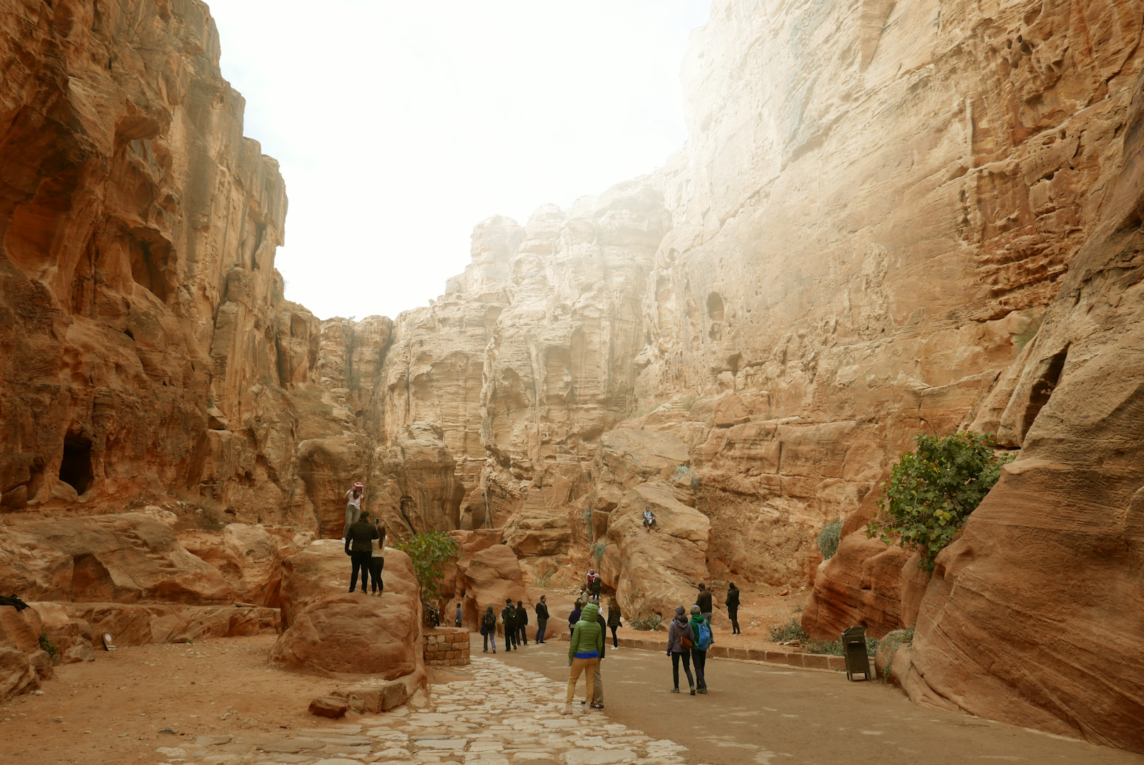 Jordania