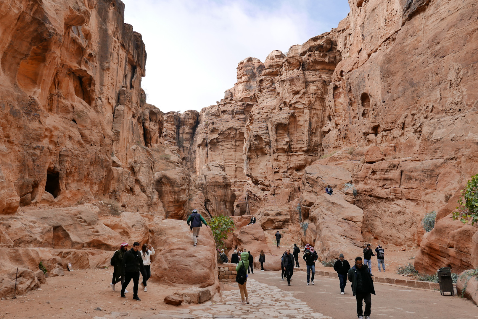 Jordania