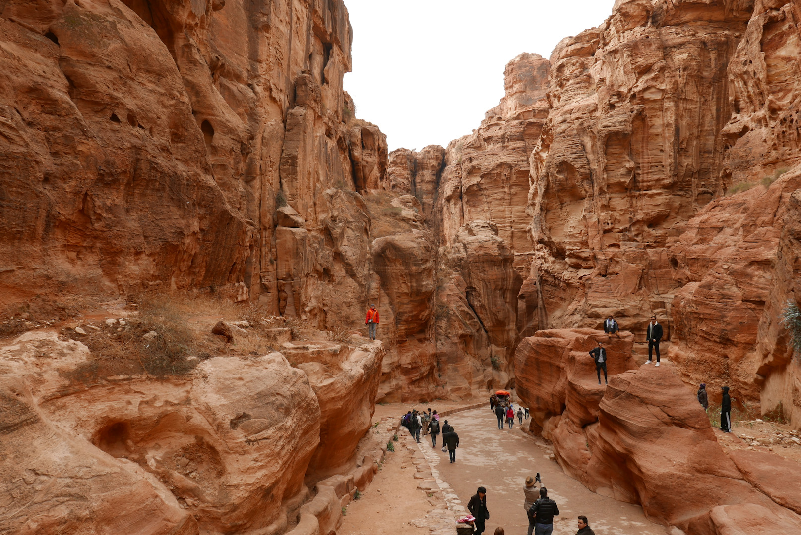 Jordania