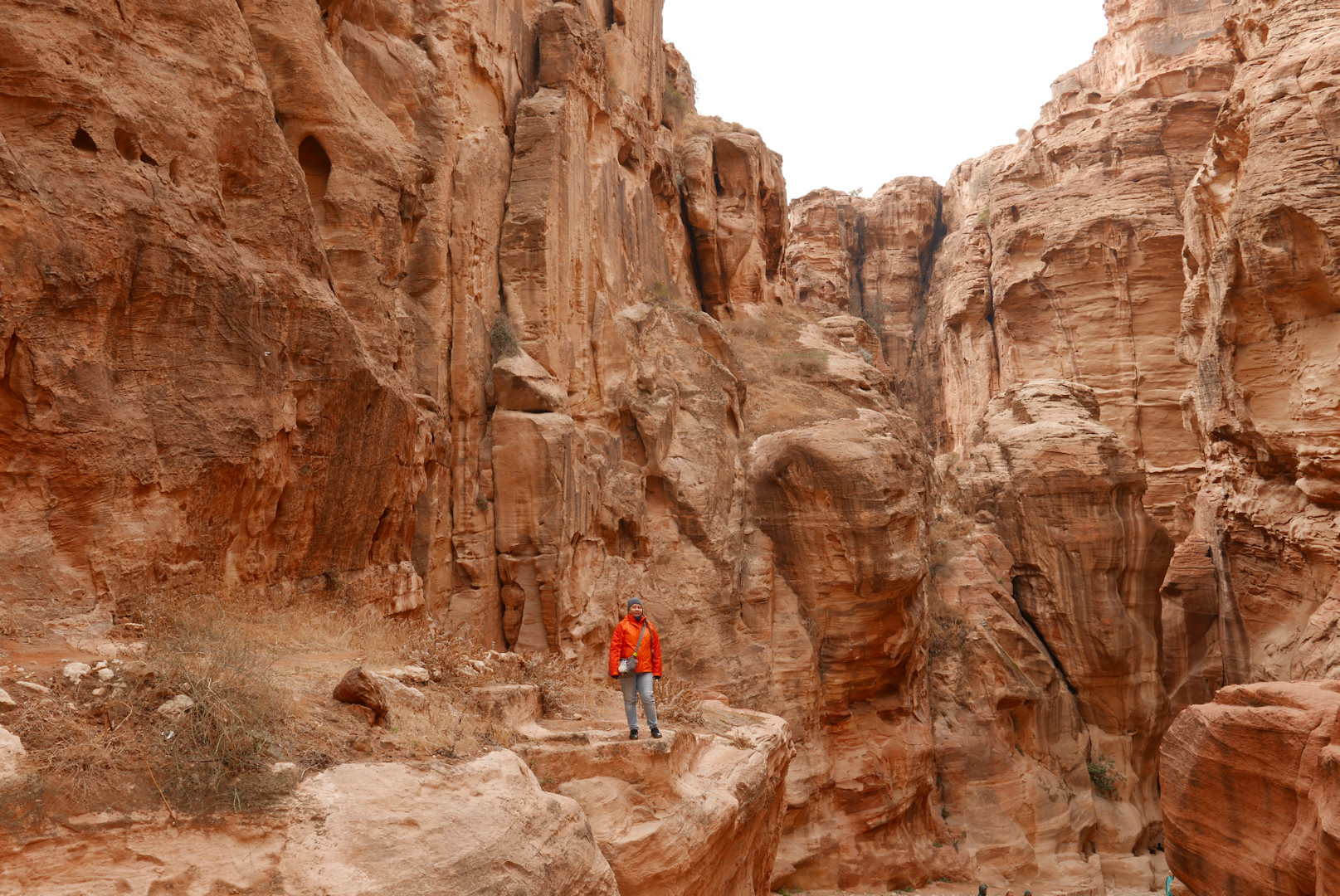 Jordania