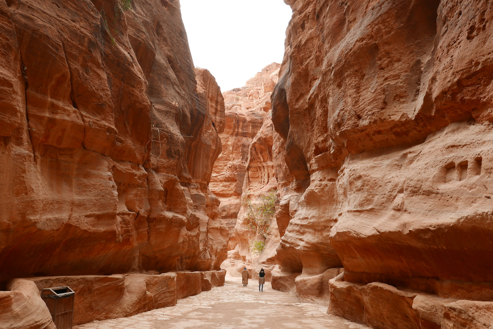 Jordania