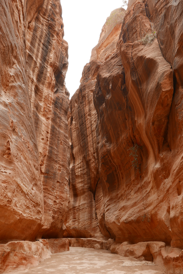 Jordania