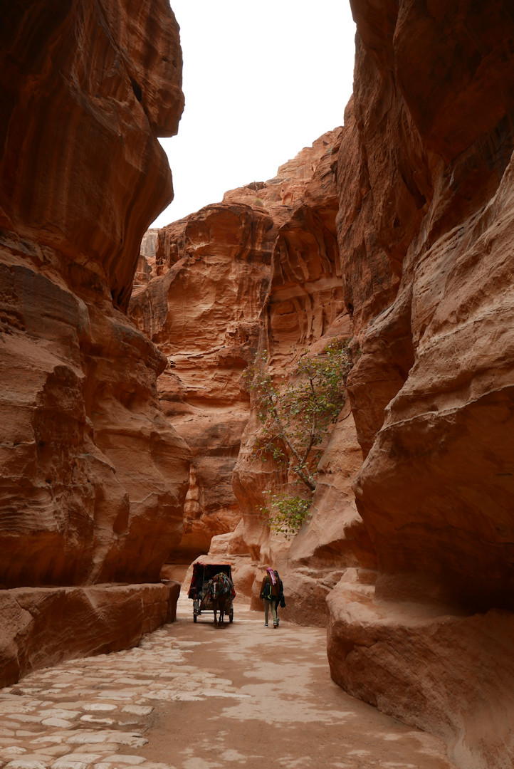 Jordania