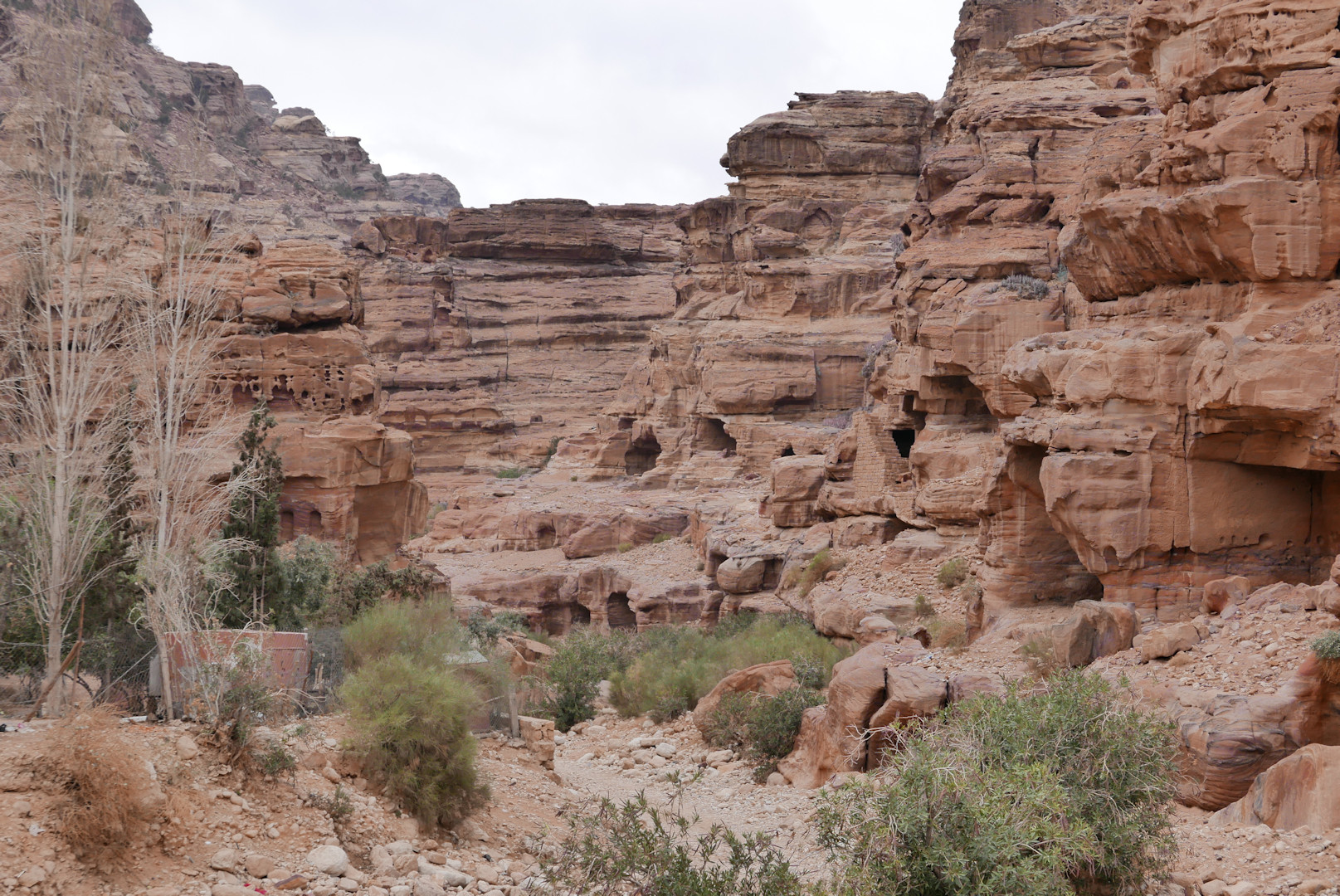 Jordania