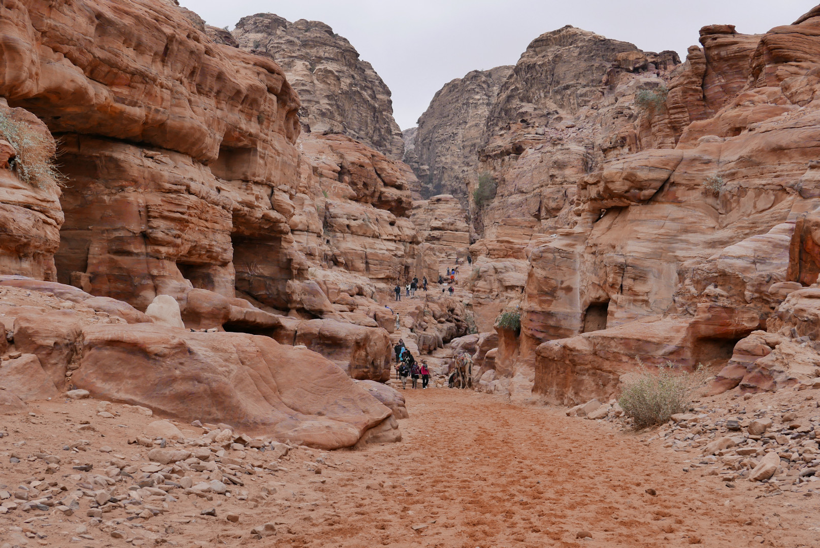 Jordania
