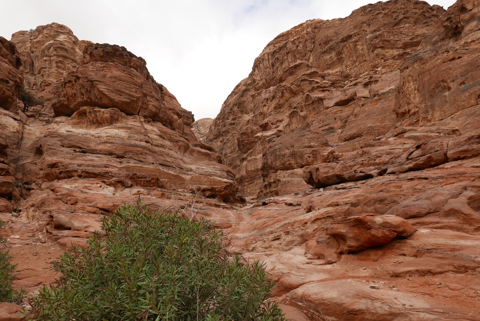 Jordania