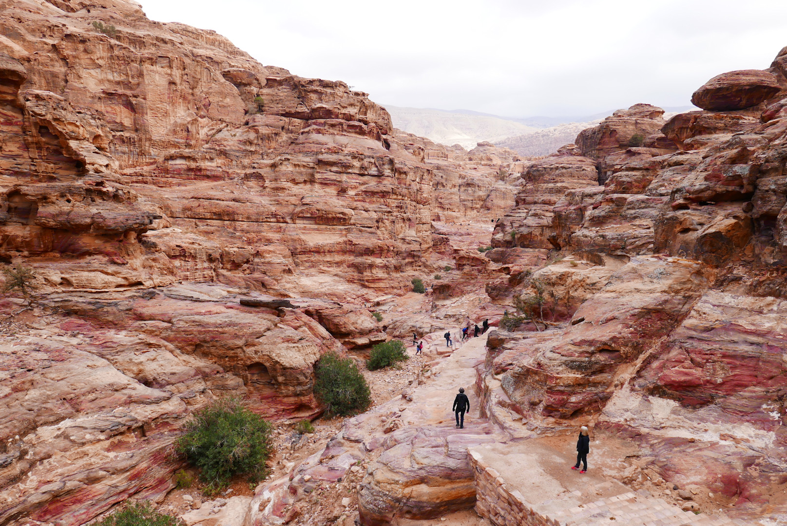 Jordania