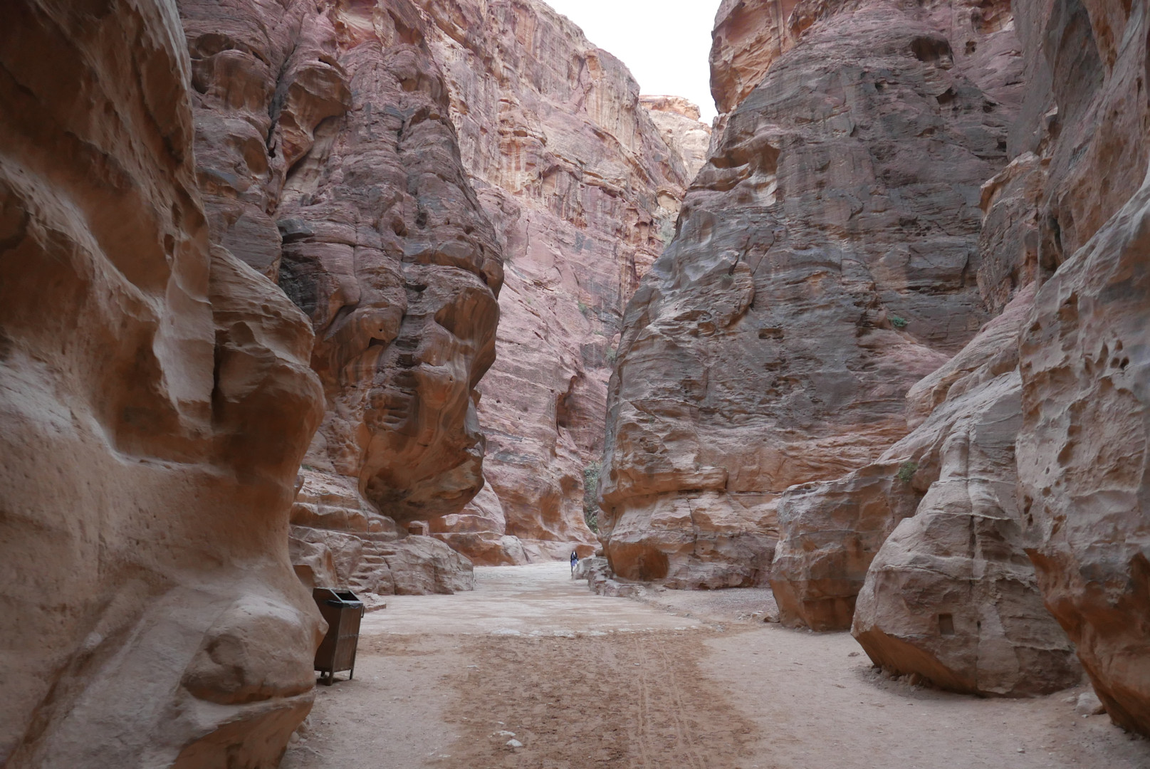 Jordania