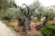 Jerozolima