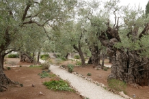 Jerozolima
