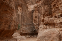 Jordania
