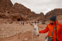 Jordania
