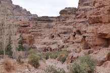 Jordania